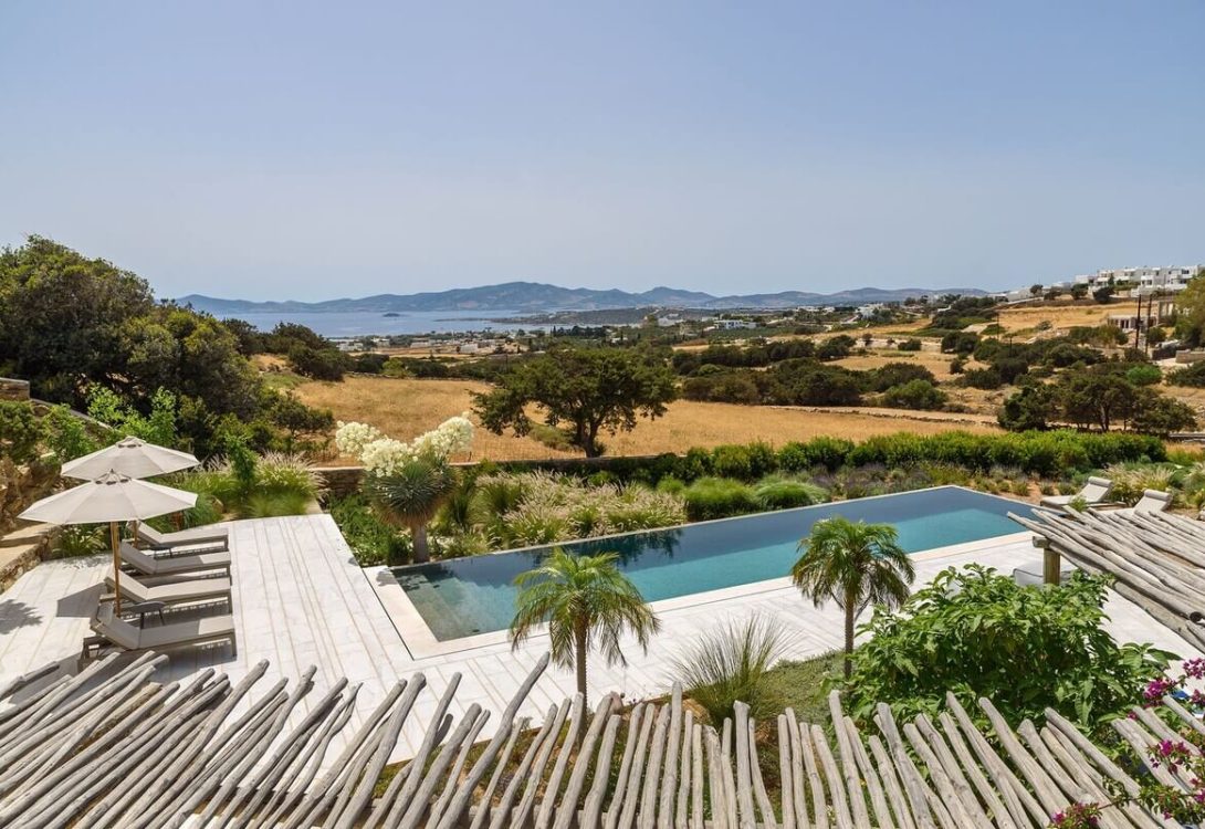 House of Old Olive Tree 4